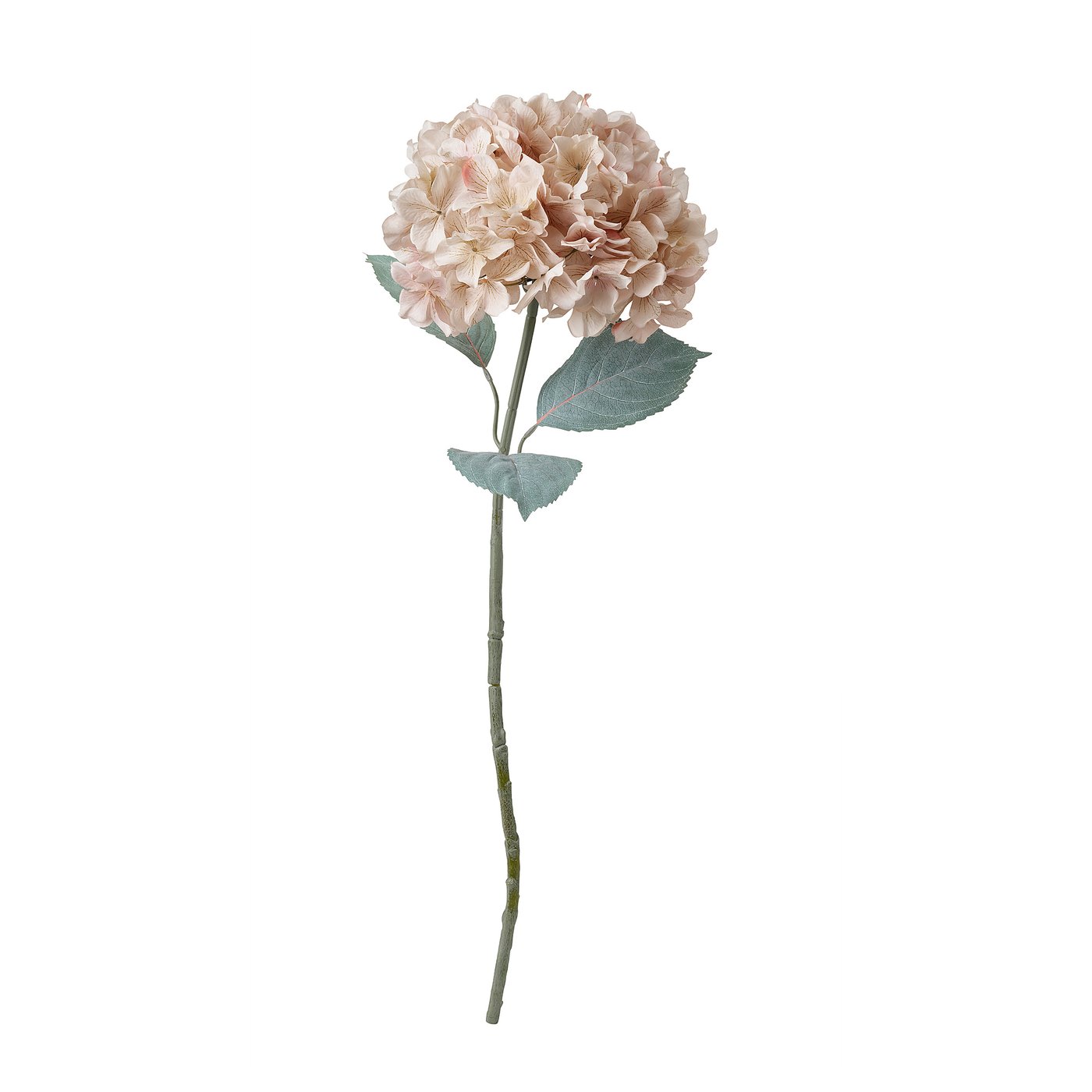 product-5215424