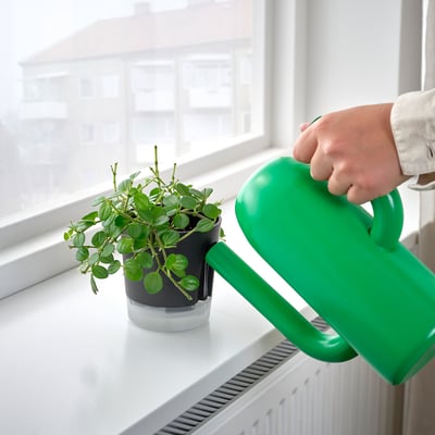 VÅRDTRÄD Saksija za samozalivanje, unutra/spolja prozirno/boja antracita, 9 cm