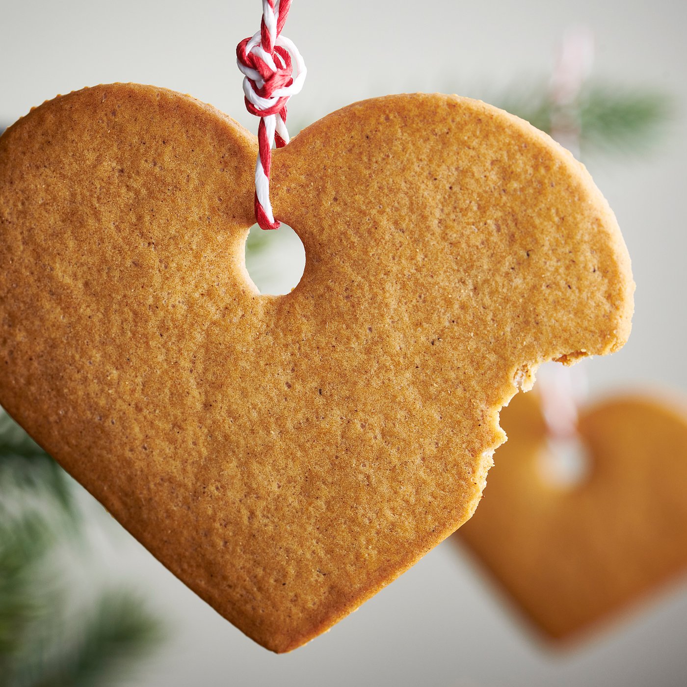 VINTERSAGA Srca od đumbira