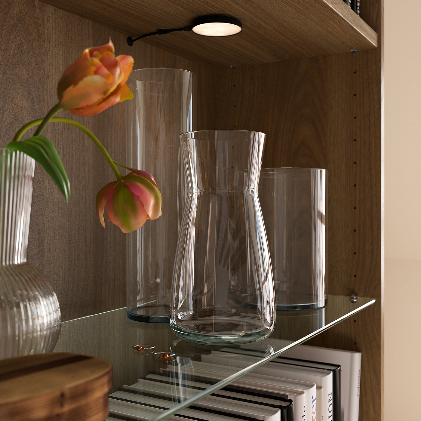 صورة 2