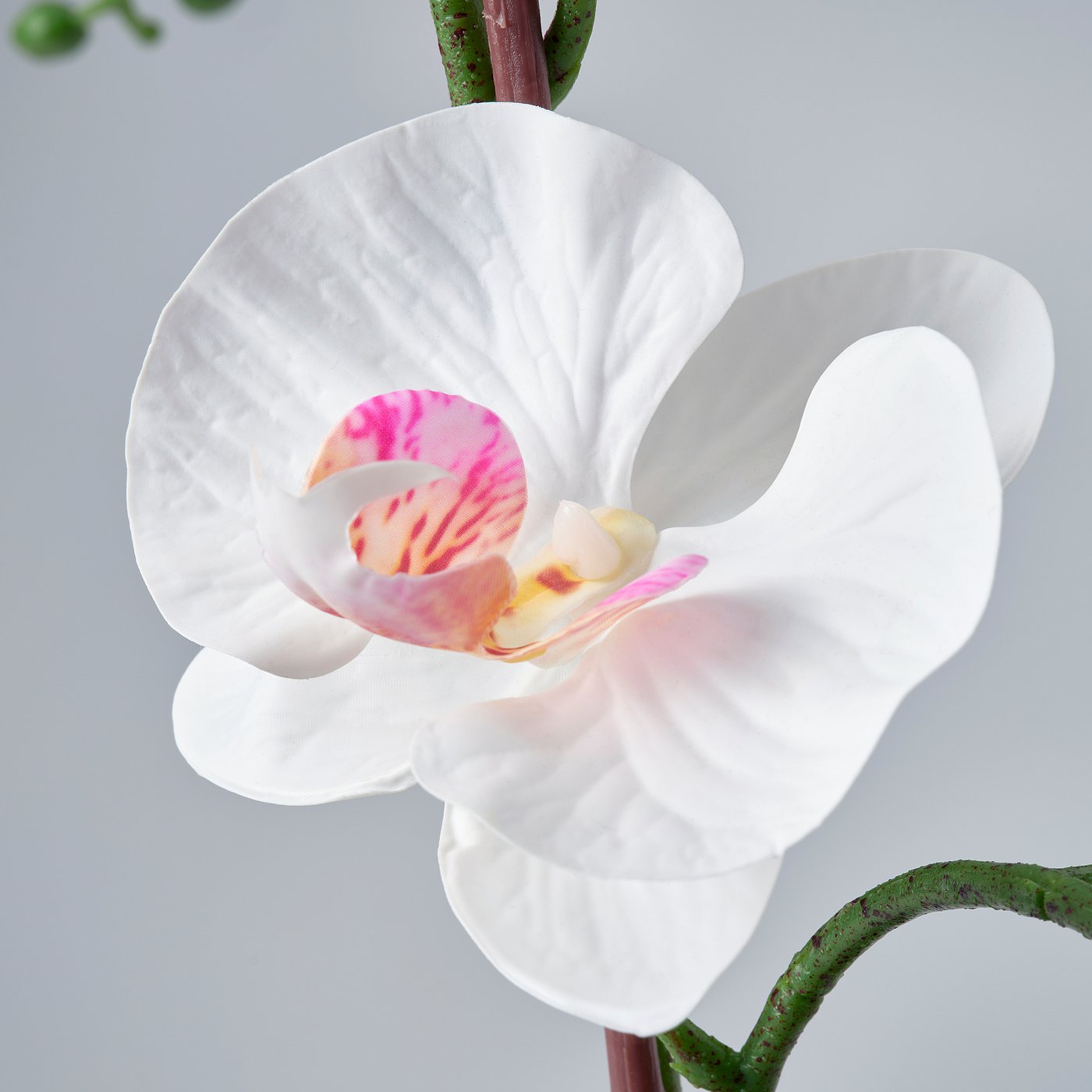 صورة 3
