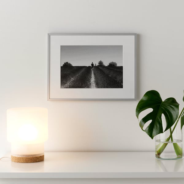LOMVIKEN برواز, الومينيوم, ‎30x40 سم‏