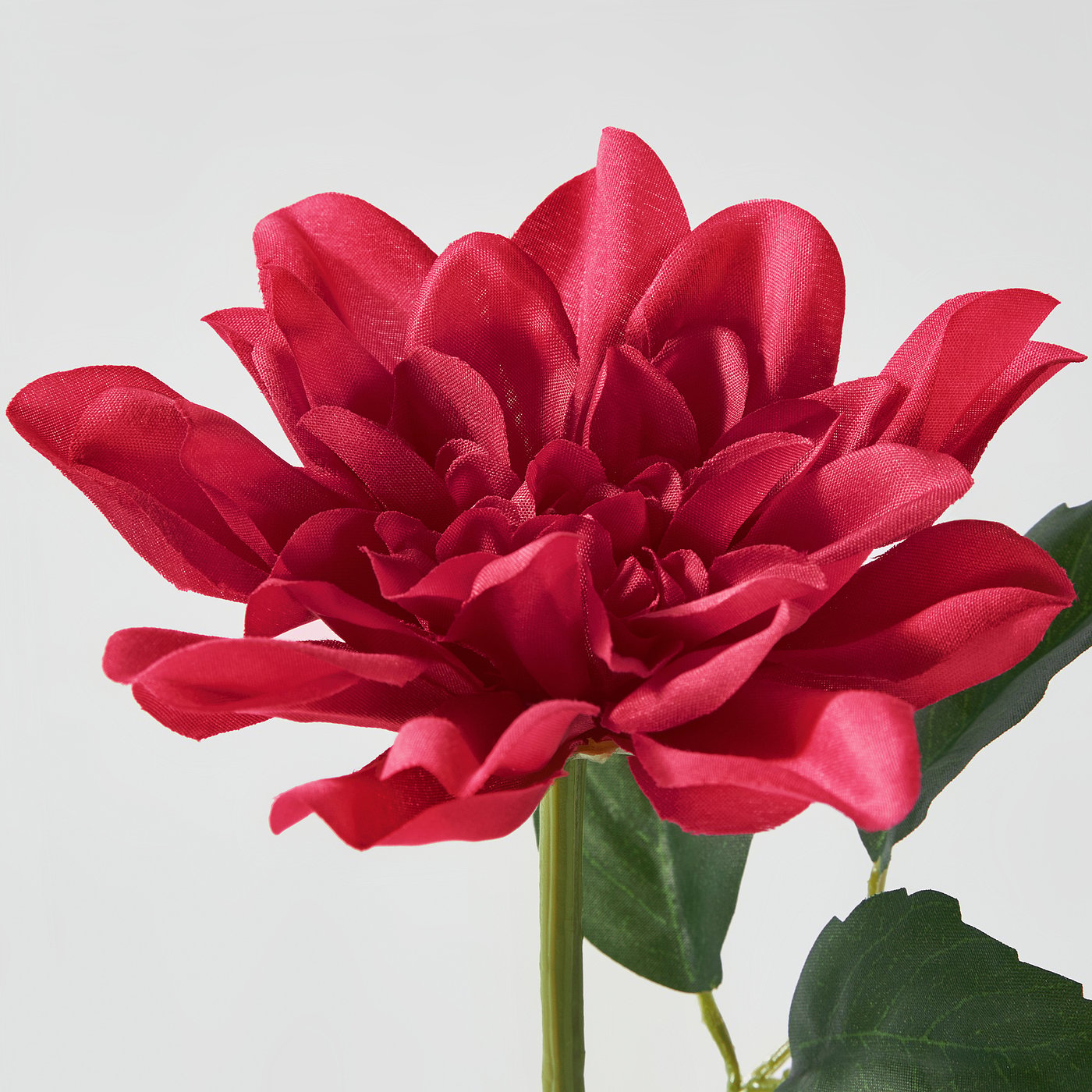 صورة 3