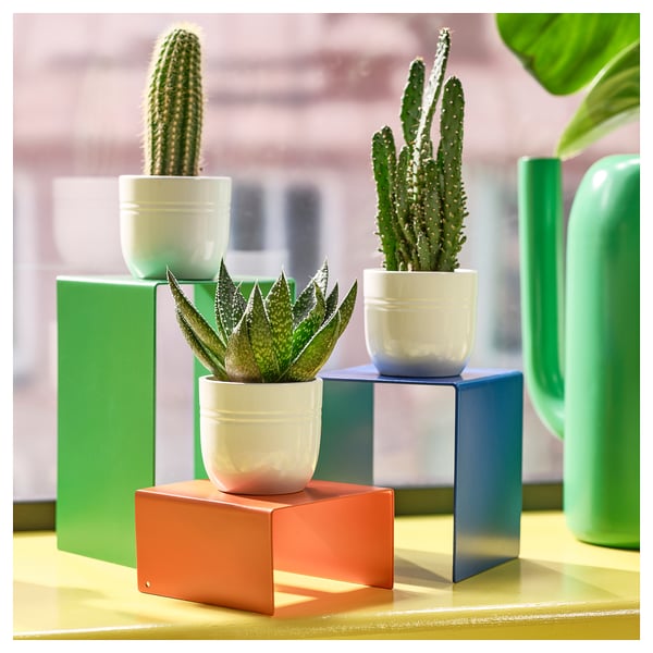 Colourful stands with small potted cacti & succulents.