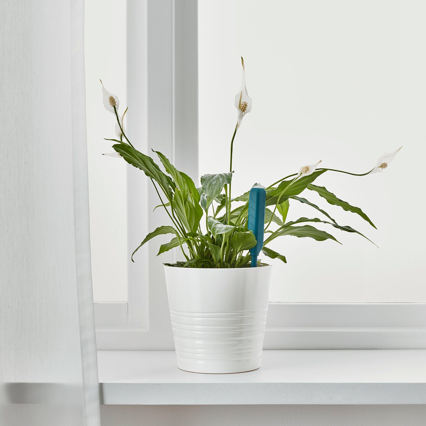 CHILIPULVER حساس ري النباتات, أخضر IKEA CHILIPULVER حساس ري النباتات, أخضر IKEA