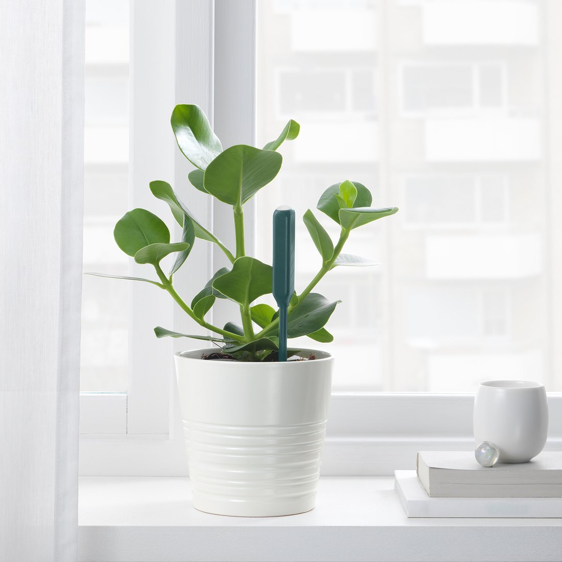 CHILIPULVER حساس ري النباتات, أخضر IKEA CHILIPULVER حساس ري النباتات, أخضر IKEA