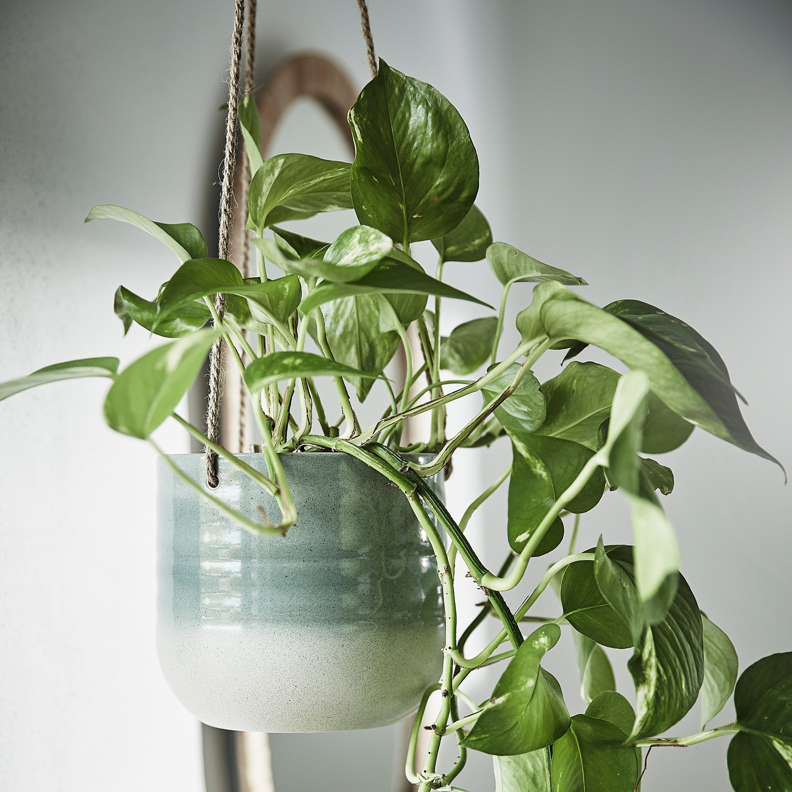 KAPKRUSBÄR Hanging planter greygreen IKEA