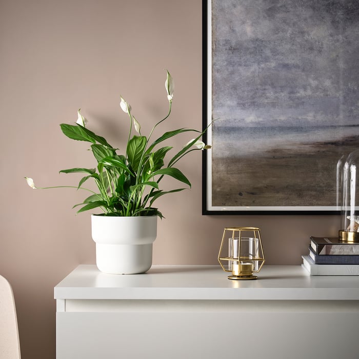 Buy Candles, Candles Holder & Pillar Online KSA IKEA