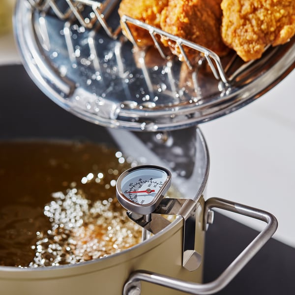 SKÄGGTORSK Frying pot, non-stick coating light beige-green, 4 l