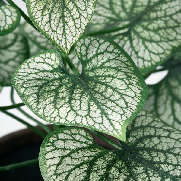 SMÅTÄRNA Artificial potted plant, paper/Brunnera, 12 cm