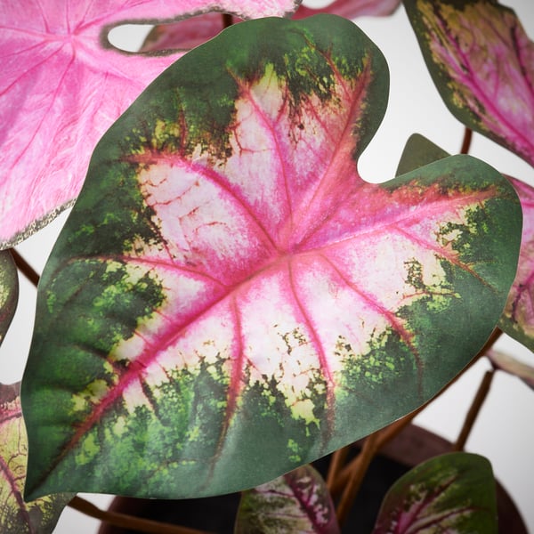 SMÅTÄRNA Artificial potted plant, paper/caladium, 14 cm