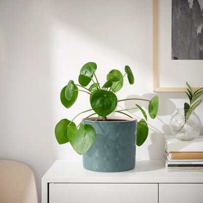White console table with teal plant, green plant, and glass vase. Black artwork behind.