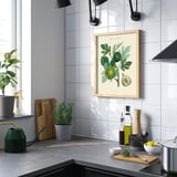 Modern kitchen with large fig plant poster above counter, holding various kitchen items.