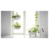 Modern white plant stand with hanging and floor pots, greenery, near window.