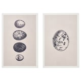 The BJÖRNAMO picture set with grey frames and black-and-white oval designs. Displayable on walls or shelves.