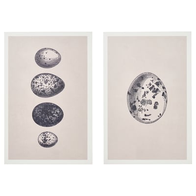 The BJÖRNAMO picture set with grey frames and black-and-white oval designs. Displayable on walls or shelves.
