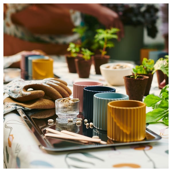 Four colored cups, gloves, and plants on a table.
