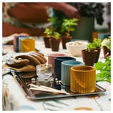 Four colored cups, gloves, and plants on a table.