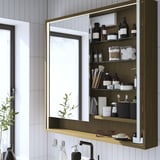 Well-organized bathroom mirror cabinet with wooden finish and integrated lighting, displaying toiletries and beauty items.