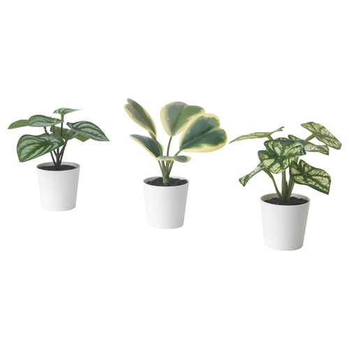 FEJKA Artifi potted plant w pot, set of 3, in/outdoor begonia, 6 cm