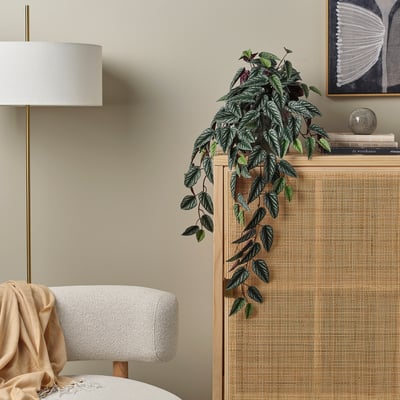 FEJKA Artificial potted plant, in/outdoor cissus/hanging, 15 cm