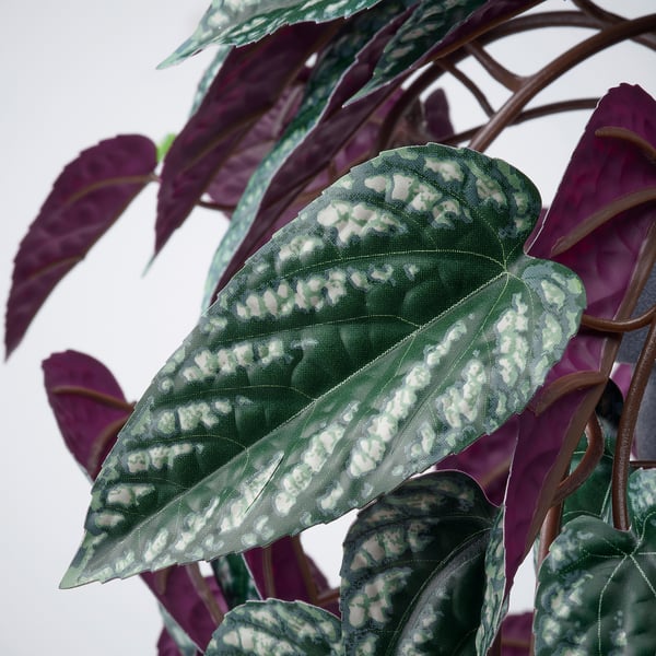 FEJKA Artificial potted plant, in/outdoor cissus/hanging, 15 cm