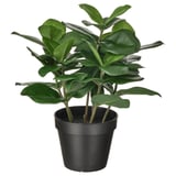 Black FEJKA plant with green leaves, plastic.