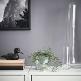 Small FEJKA green potted plant sits on a table beside a tall glass vase and a black duck figurine atop books, against a wall with a mountain picture.
