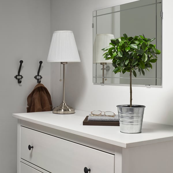 Small potted plant next to a lamp on a white dresser.
