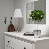Small potted plant next to a lamp on a white dresser.