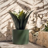 Cylindrical green stoneware planter