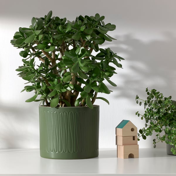 Plant and wooden house on table.