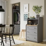 Modern living space with HAUGA gray chest, wooden chairs, plant, and closets.