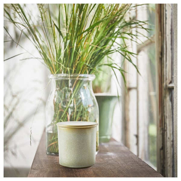 A green-tinted candle in a ceramic jar sits on a wooden shelf next to a glass jar with tall grasses, near a window.