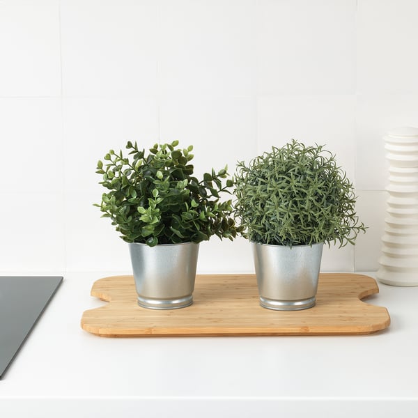 Two potted plants on a bamboo chopping board/tray, placed on a white countertop.