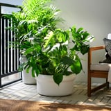 MÅBÄRSBUSKE Plant pot, outdoor/off-white, 44 cm