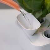 Person pouring water into white NYSÄTTRA plant container with orange tool.