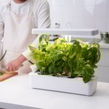 Nysaettra indoor herb kit with light. White, compact design fits on counter. Adjustable light for indoor plant growth.