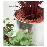 Two potted plants in metal buckets with clay pebbles, one with red foliage, demonstrating improved drainage and soil support.