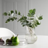 Modern clear glass PÅDRAG vase with textured design, holding greenery. Sits next to a small plate of green fruits on a white table.