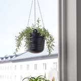 Black hanging planter with green plant near window, compact & modern.