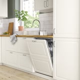 Modern kitchen with RÅGLANDA dishwasher, clean dishes, wood countertop, plant, and natural light.
