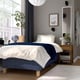 Modern bedroom with blue bed, white decor, oversized mirror, plant, and math workstation. Bed is moderately sized.