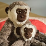 Two plush monkeys, one large, one small, both brown and white, sitting together. The larger monkey holds the smaller one.