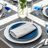 Well-set dinner table with blue plates, white napkins, silverware, and clear glasses. Centerpiece has small green plant.
