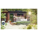 Small beachside café with rustic charm; wooden building, white furniture, greenery, sand.