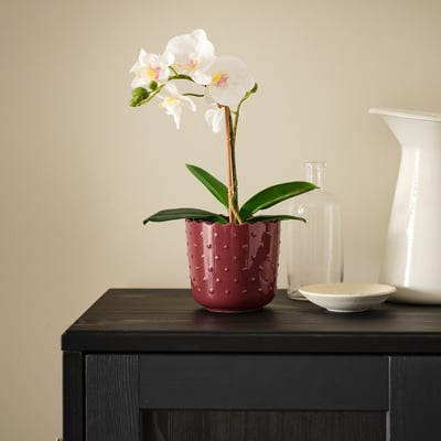 A small red stoneware planter with textured dots and a white orchid on a black table. Beside empty vases and a small bowl.