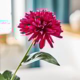 SMYCKA Artificial flower, in/outdoor Chrysanthemums/dark pink, 55 cm