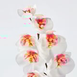 Beautiful artificial orchid image; vivid white petals, red centers; lifelike quality.