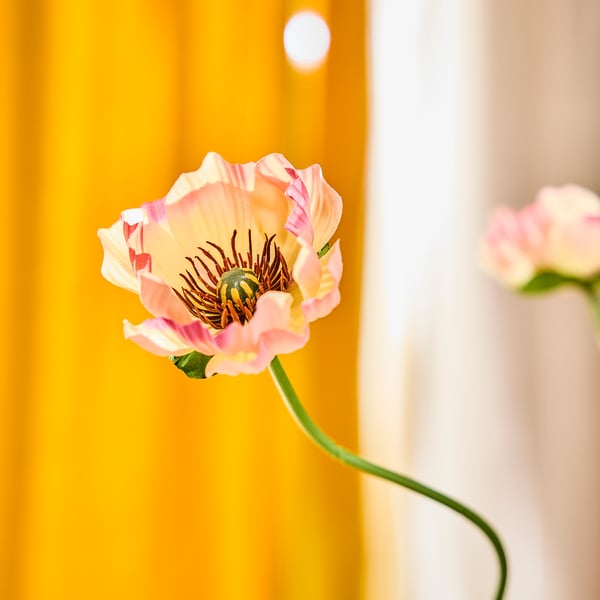 SMYCKA Artificial flower, in/outdoor Poppy/pink, 51 cm